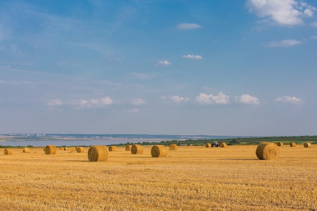 Campo tras cosecha, Grandes fardos redondos de paja