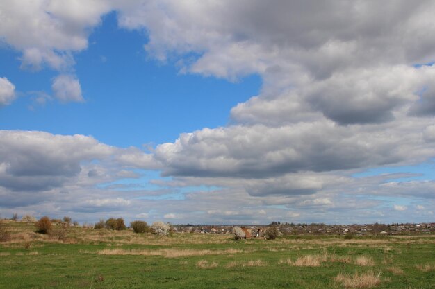 Un campo cubierto de hierba con un cielo azul