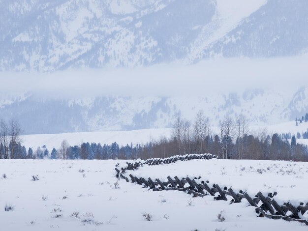 Campo cubierto de nieve en el parque nacional Great Teton.