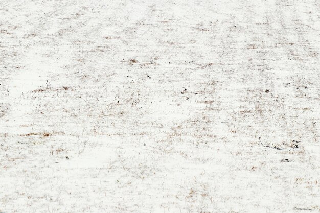 Foto campo cubierto de nieve con pasto seco, fondo de invierno