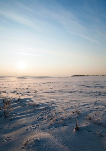 Campo cubierto de nieve