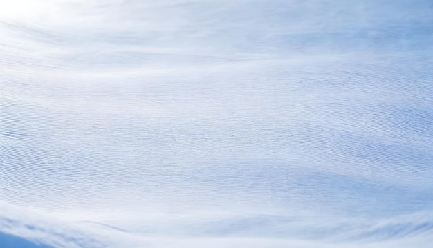 un campo cubierto de nieve