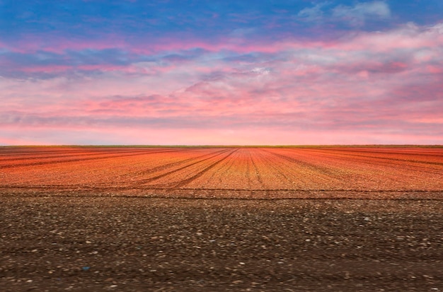 Foto campo cultivado e céu nublado