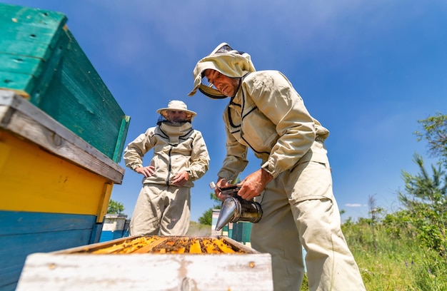 Campo de cultivo de miel de verano Hombre en traje protector de apicultura trabajando en apiario
