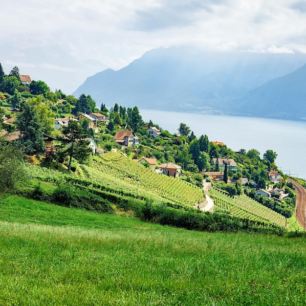 Campo da trilha de caminhada Lavaux Vineyard Terrace, Lago Genebra e montanhas suíças, distrito de Lavaux-Oron, Suíça