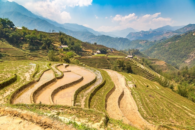 Campo de arroz em socalcos em sapa