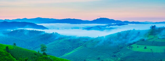 Campo de arroz em terraços em Chiangmai, na Tailândia