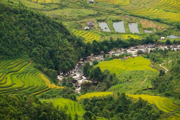 Campo de arroz em terraços em mu cang chai, vietnam