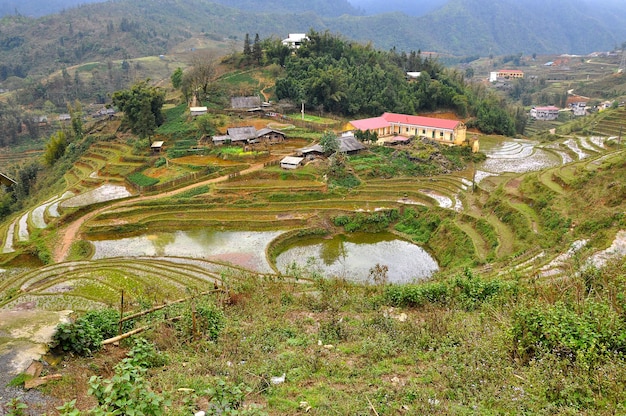 Campo de arroz em terraços no norte do Vietnã