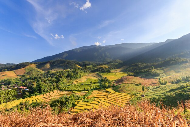 Campo de arroz em terraços verdes em pa pong pieng, mae chaem, chiang mai, tailândia