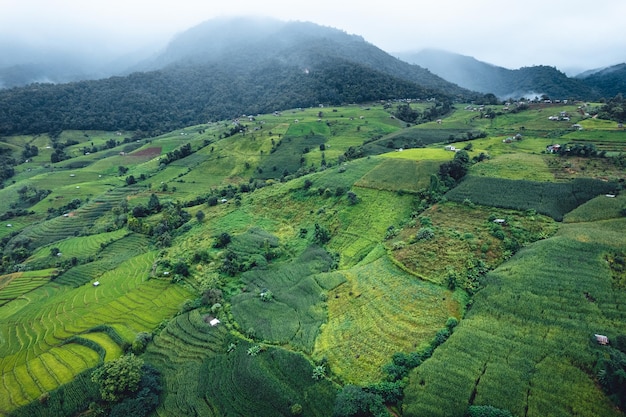 Campo de arroz verde vista de alto ângulo em terraços em Chiangmai