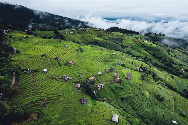 Campo de arroz verde vista de alto ângulo em terraços em chiangmai