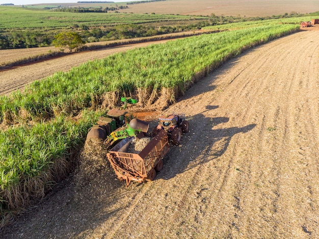 Campo de cana-de-açúcar aéreo no Brasil. Trator trabalhando, agronegócio.