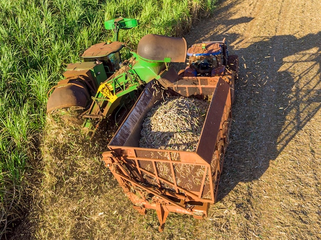 Campo de cana-de-açúcar aéreo no Brasil. Trator trabalhando, agronegócio.