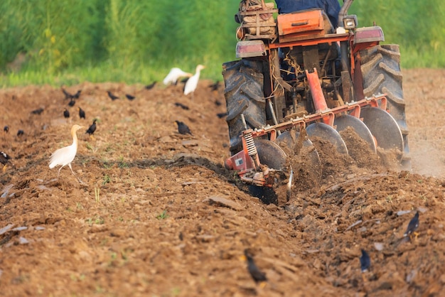 Campo de cultivo de trator para preparar terras agrícolas