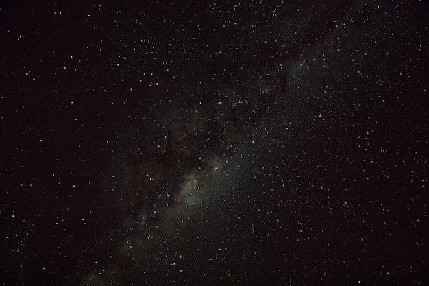 Campo de estrelas contra o céu à noite