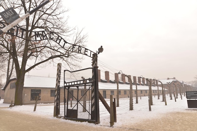 Campo de Extermínio de Auschwitz
