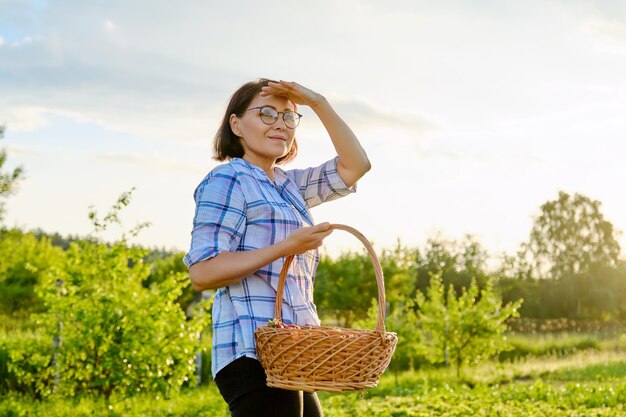 Campo de fazenda com mulher de morangos colhendo frutas com uma cesta