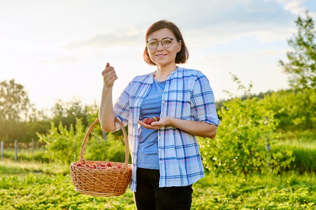 Campo de fazenda com mulher de morangos colhendo frutas com uma cesta