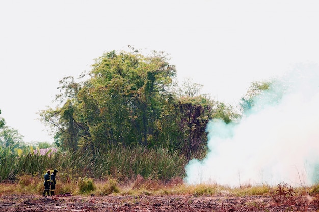 Campo de fumaça e fogo queimando de bombeiro