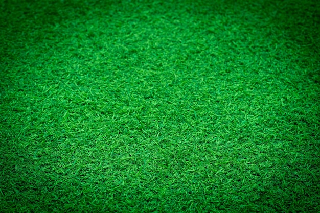 Campo de futebol de fundo de grama verde