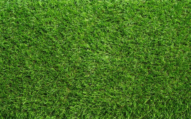 Campo de futebol de fundo de grama verde