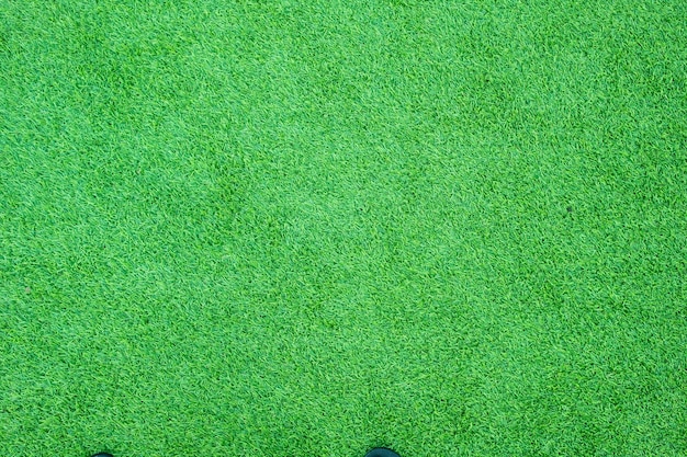 Campo de futebol de fundo de grama verdexa