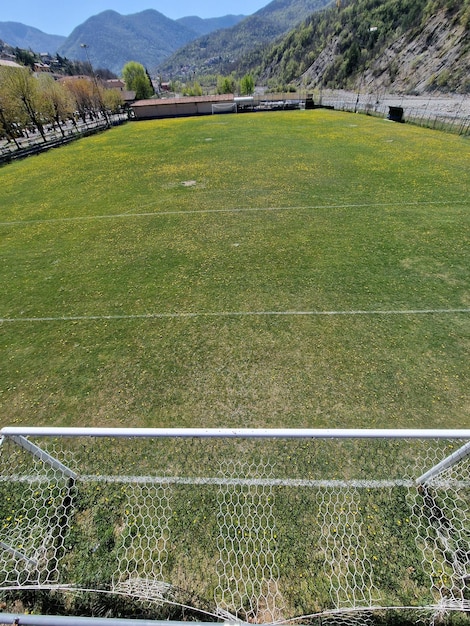 campo de futebol do país com flores em dia ensolarado