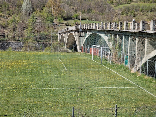 campo de futebol do país com flores em dia ensolarado