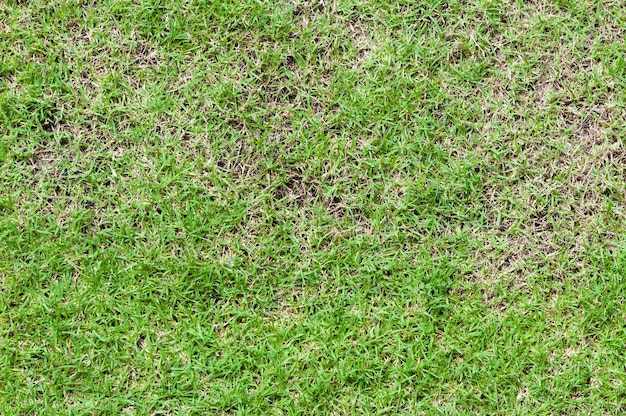 Campo de futebol grama verde padrão de fundo texturizado grama texturizada para fundo