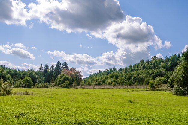 Campo de grama com bosques e céu azul perfeito