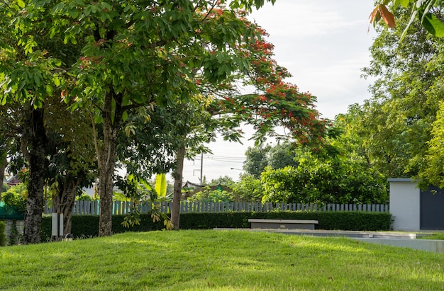 Foto campo de grama contra o fundo do jardim