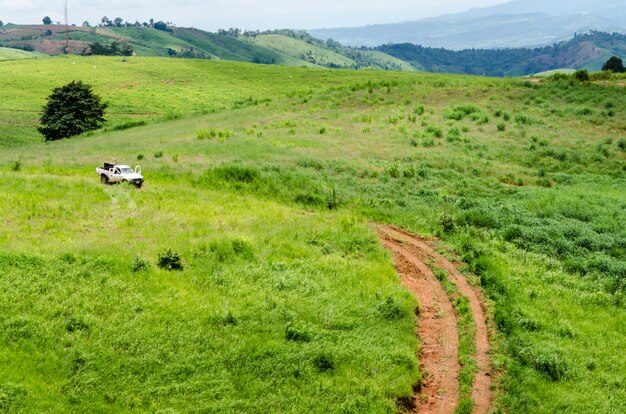 Campo de grama e carro borrado