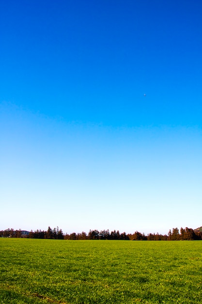 campo de grama e céu perfeito na ilha de Jeju, Coréia