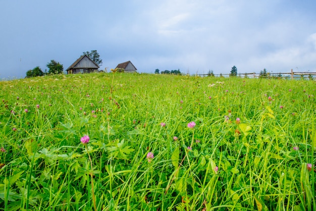 Campo de grama nas montanhas