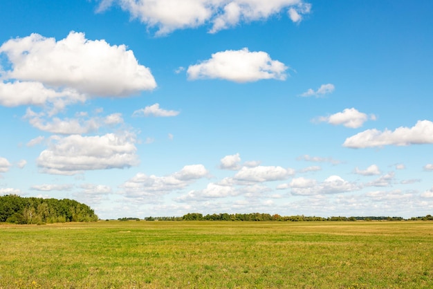 Campo de grama, paisagem de primavera verde com um lindo céu.