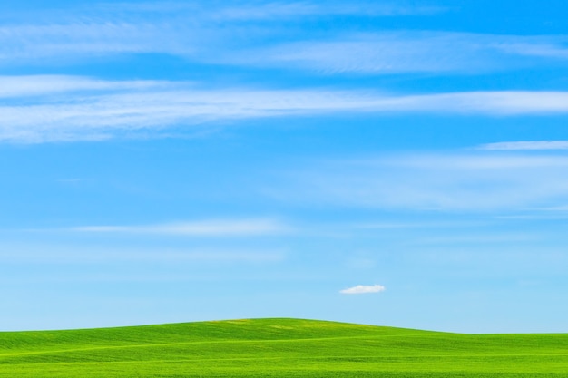 Campo de grama verde contra o céu azul, bela paisagem ensolarada