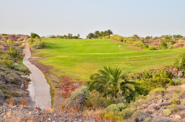 Campo de grama verde de golfe