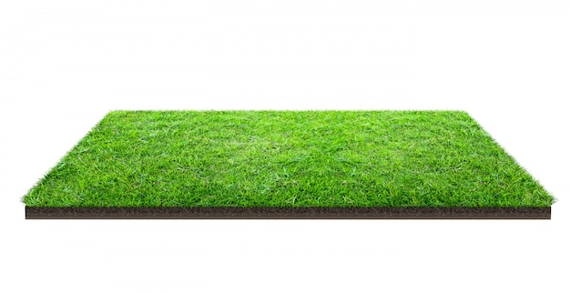 Campo de grama verde isolado no branco com trajeto de grampeamento. Campo de esportes. Jogos de equipe de verão.