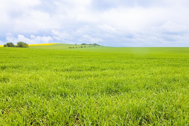 Campo de grama verde nas montanhas contra um céu com nuvens