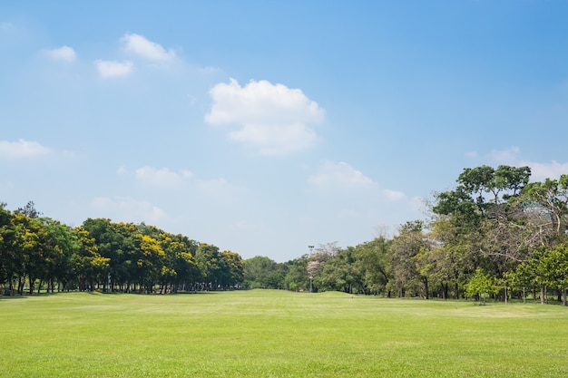 Foto campo de grama verde no parque da grande cidade
