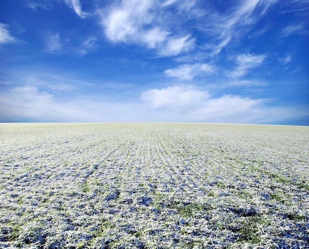 Campo de inverno e nuvens no céu