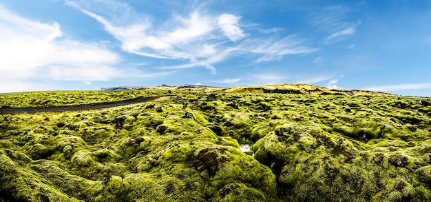 Campo de lava vulcânica coberto de musgo verde Islândia