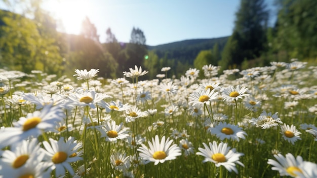 Campo de margaridas no dia ensolarado de verão generativo ai