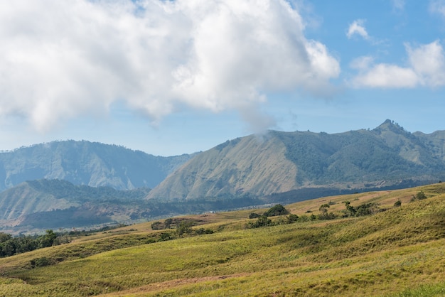 Foto campo de montanha e savana com nuvem baixa colina