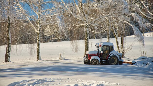 Campo de neve coberto por árvores durante o inverno