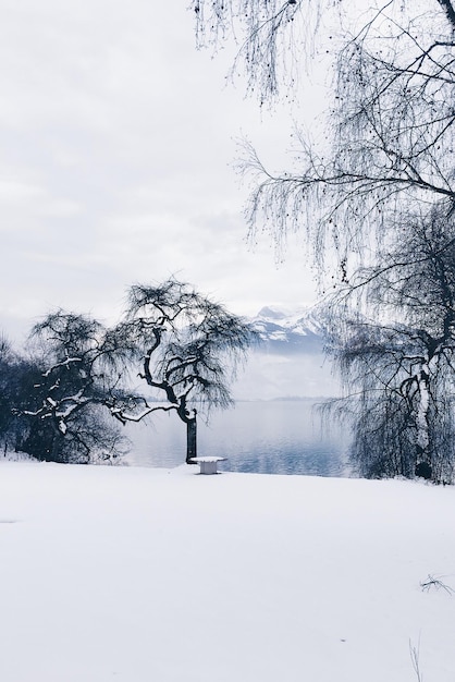 Campo de neve coberto por um lago