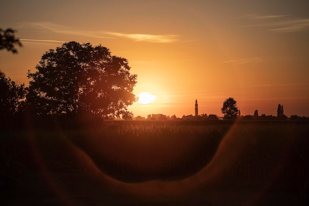 Campo de país de paisagem de pôr do sol laranja