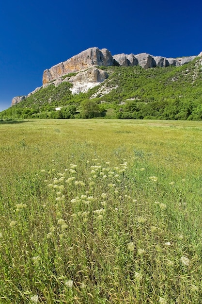 Campo de pedra