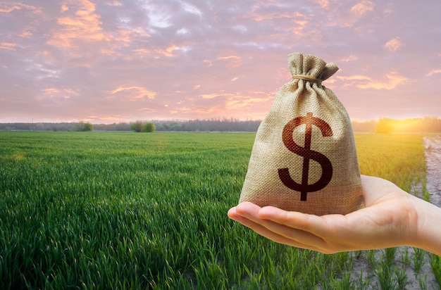 Foto campo de prado verde de trigo jovem e saco de dinheiro dólar fome do mundo grãos cereais défices